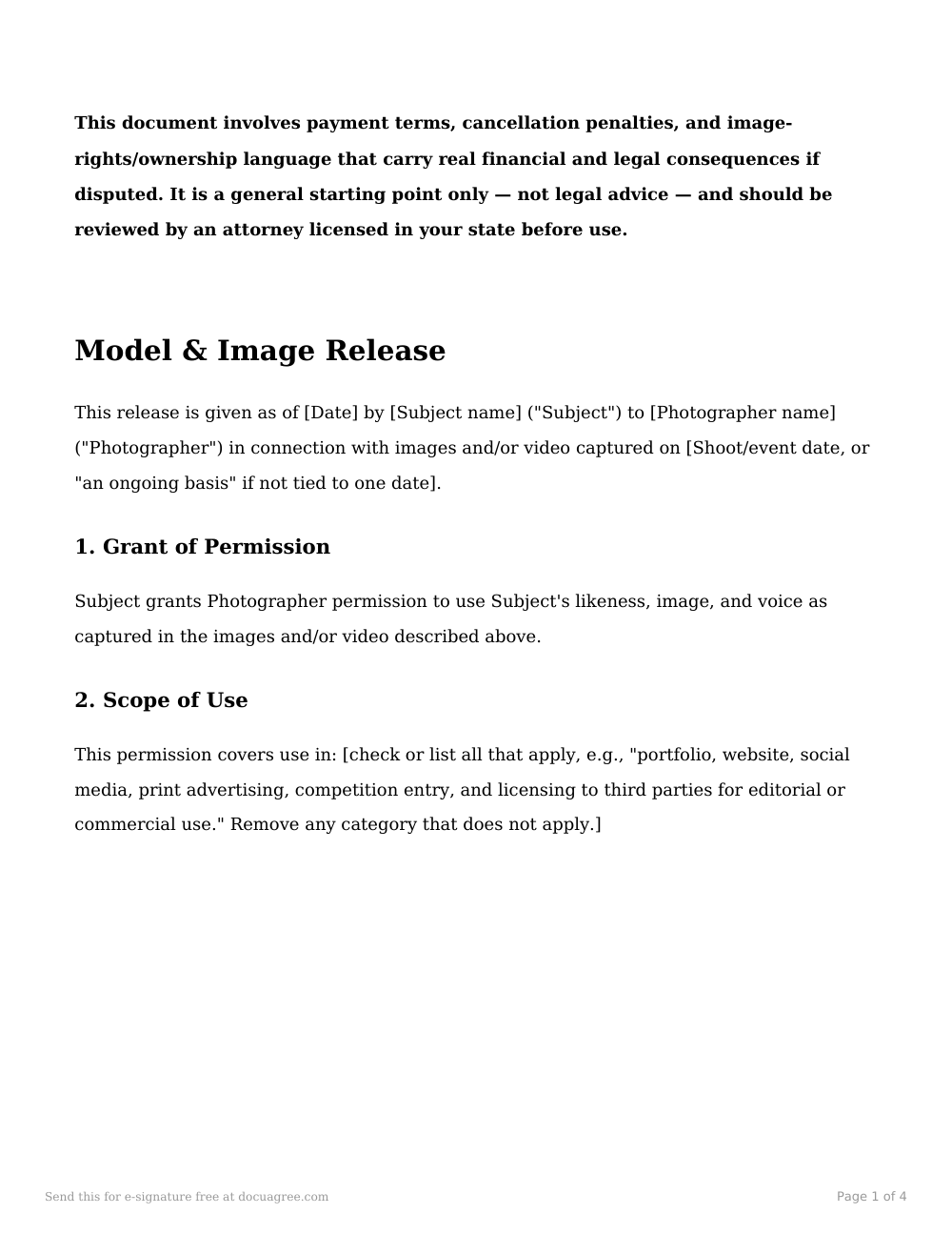 Preview of the first page of the Model release (adult) template